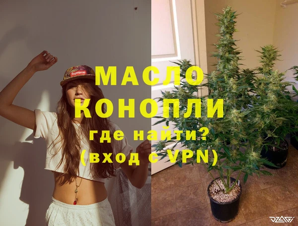 гидропоника Горнозаводск