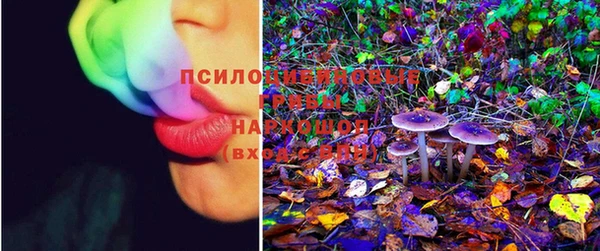 эйфоретик Горно-Алтайск