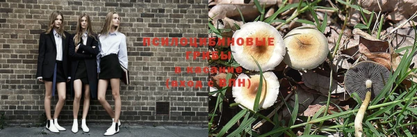 эйфоретик Горно-Алтайск